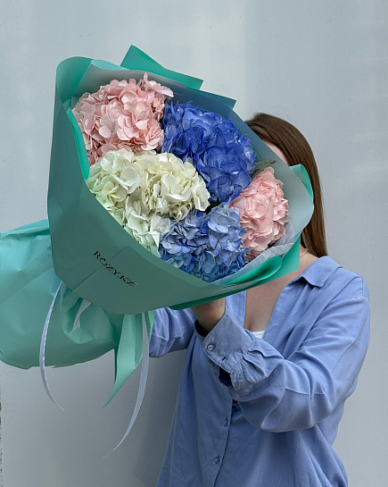 Bouquet of 5 hydrangeas with delivery to Astana