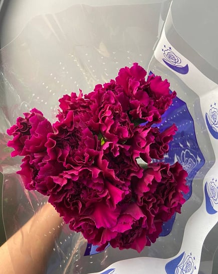 Диантусы в пачке 25 с доставкой по Астане