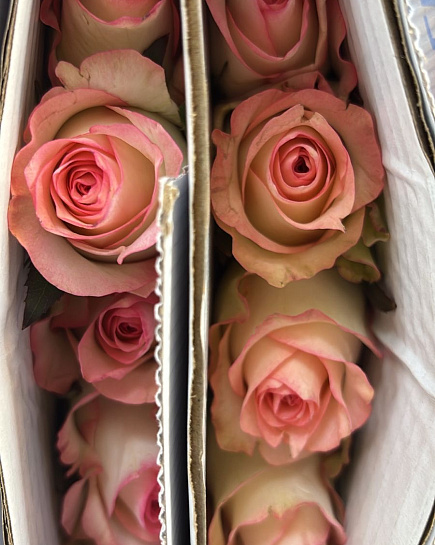 Roses in a pack 10 pcs with delivery to Almaty