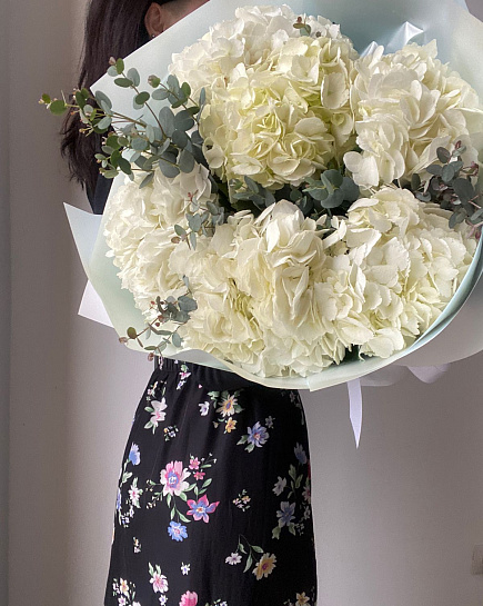 White hydrangeas with eucalyptus with delivery to Almaty