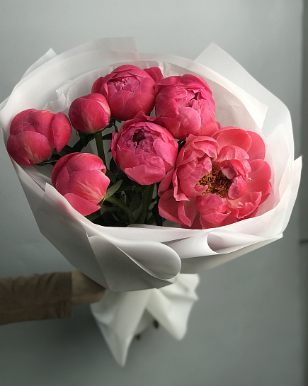 Peonies Coral Charm 7 pcs with delivery to Almaty