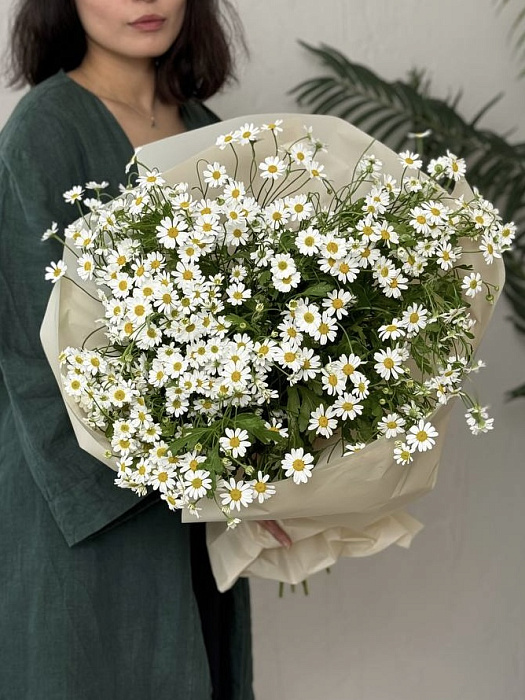 Field daisies in a bouquet