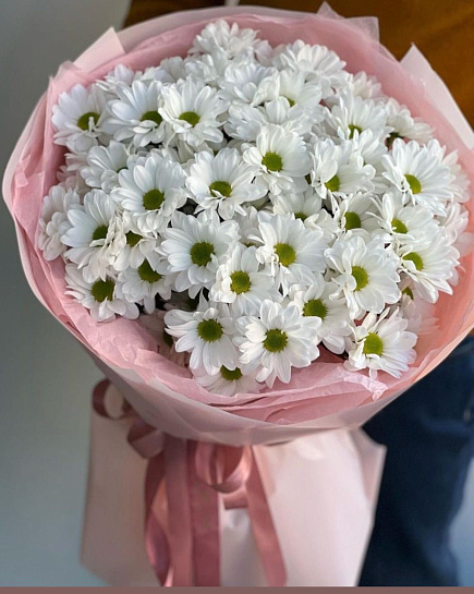 chrysanthemum with delivery to Almaty