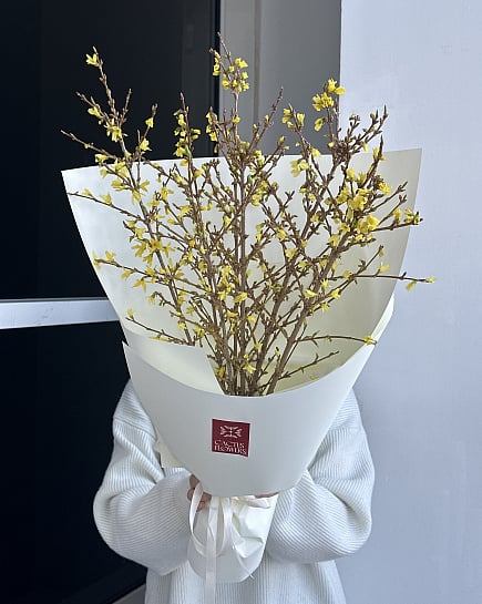 Солнечная веточка форзиции с доставкой по Астане