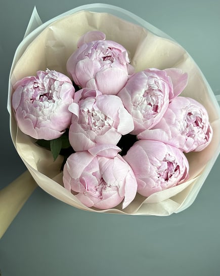 Пионы 7 шт с доставкой по Астане