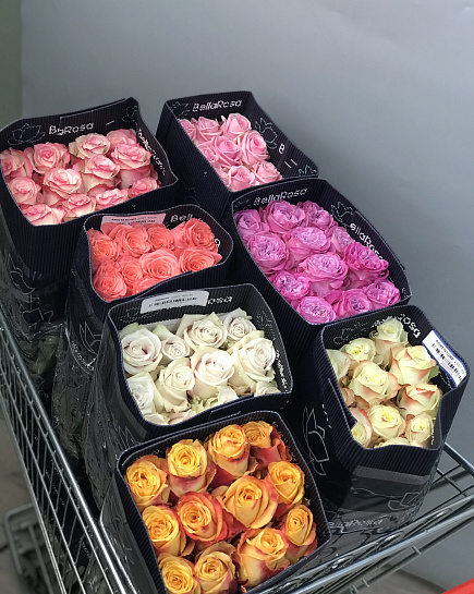 25 roses in a pack (shade to the taste of the florist) with delivery to Astana