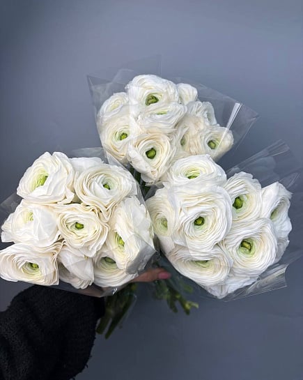 Ранунклюсы в пачке 10 шт  с доставкой по Астане