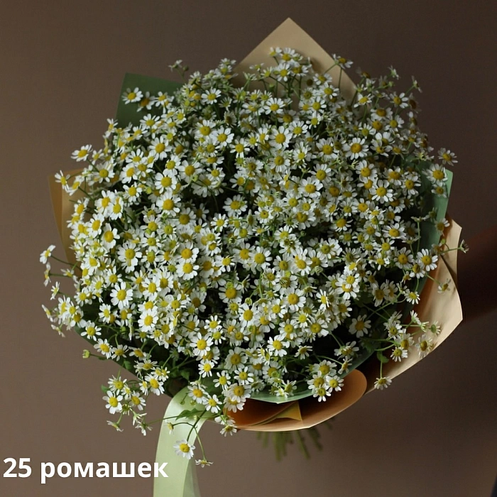 Bouquet of daisies (25)