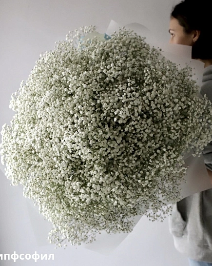 Bouquet of Bouquet of white gypsophila (49) flowers delivered to Shymkent