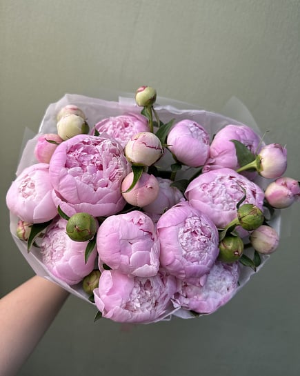 Пионовое очарование with delivery to Astana