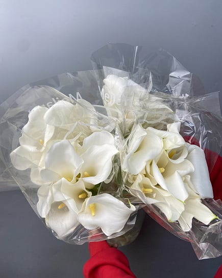 Каллы 5 шт в пачке к с доставкой по Астане