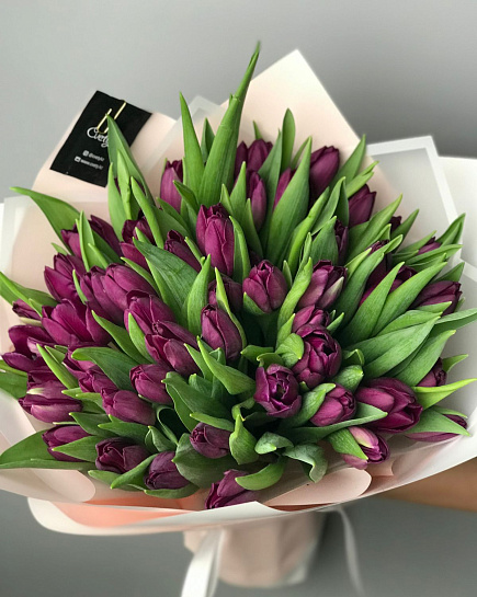 Фиолетовые Тюльпаны 51 шт с доставкой по Семее