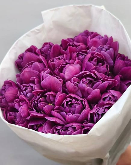 Фиолетовые пионовидные тюльпаны с луковицами 25 шт с доставкой по Алматы