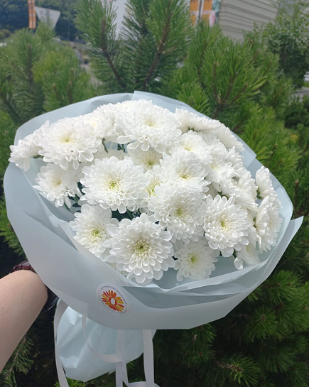 Белоснежная хризантема: классика чистоты with delivery to Almaty