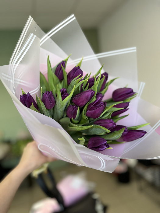 Purple tulip