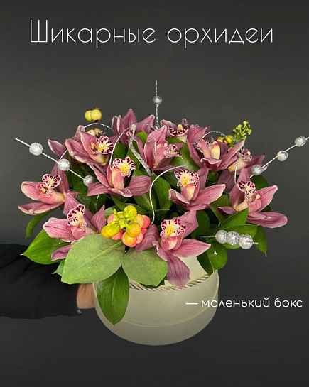 Орхидеи с доставкой по Астане