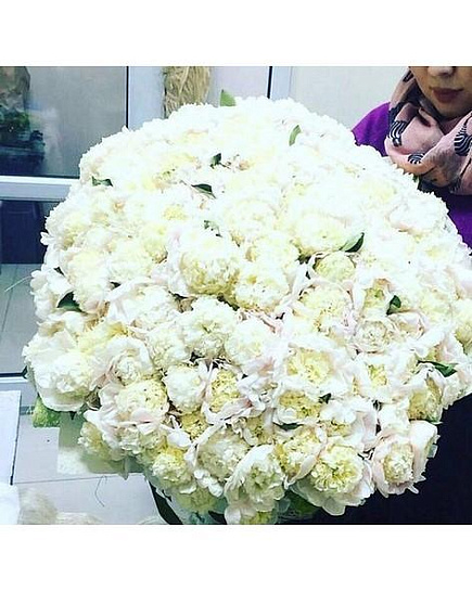 Bouquet of The dream embodiment a bouquet of 151 peonies flowers delivered to Tekeli
