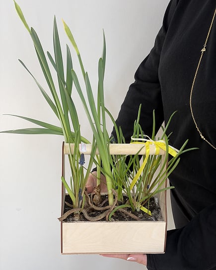 Весеннее пробуждение в деревянном ящике с доставкой по Астане