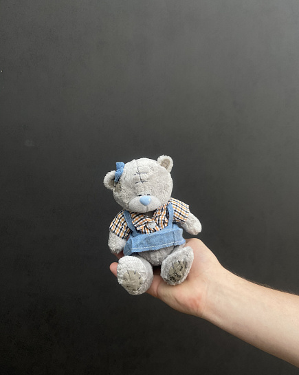 Teddy 14cm with delivery to Astana