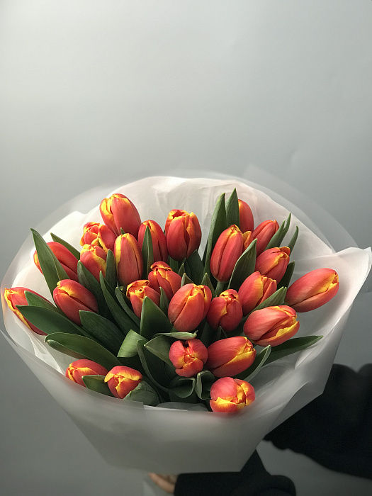 25 orange tulip 25 orange tulip
