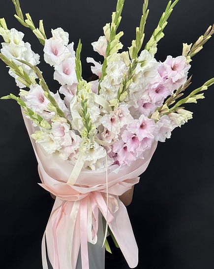 Pink loly with delivery to Almaty