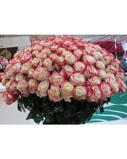 Букет из розовых роз "Поцелуй ангела" с доставкой по Балхаше