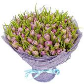 Bouquet 101 violet tulips