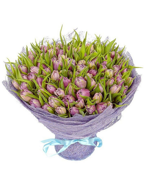 Букет 101 фиолетовый тюльпан