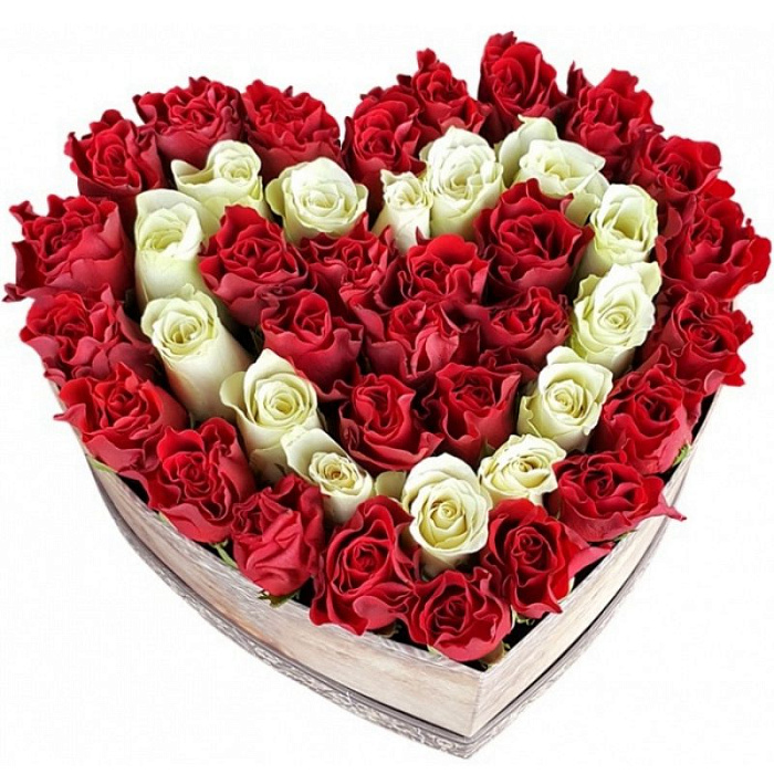 51 red roses in a box