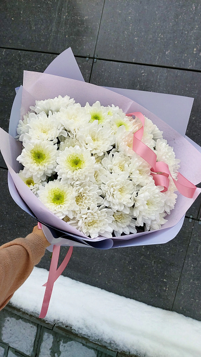 Mono chrysanthemums