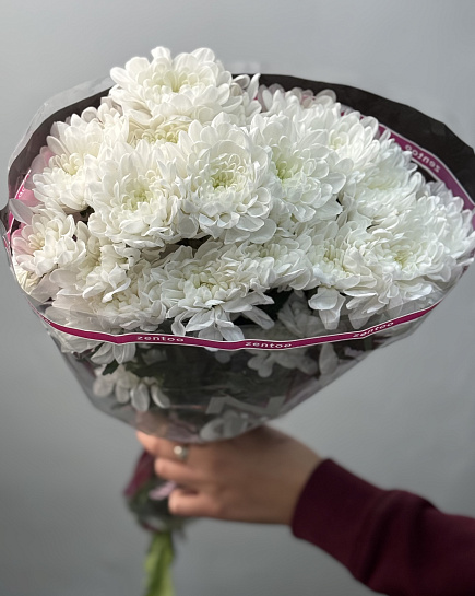 Chrysanthemum Altai in a pack of 5 pcs with delivery to Astana
