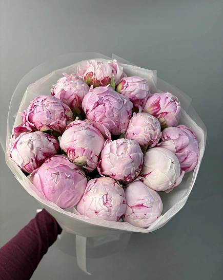 Пионы 15 шт в букете  с доставкой по Астане