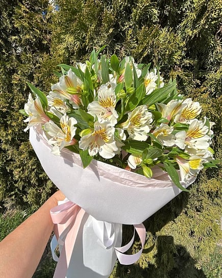 Белоснежная нежность альстромерий с доставкой по Алматы