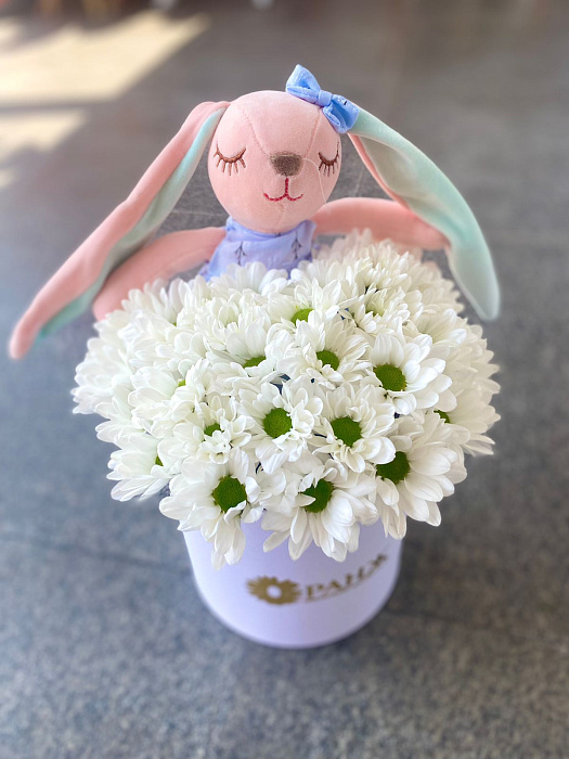 Bunny and chrysanthemums