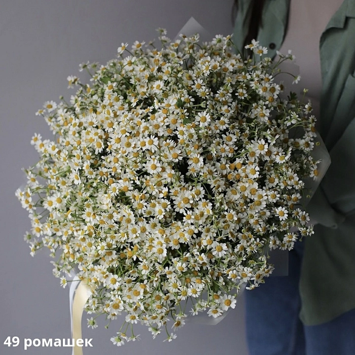 Bouquet of daisies (49)
