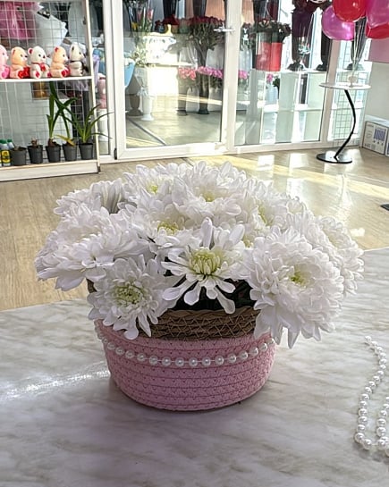 Белоснежные хризантемы в корзине с доставкой по Астане