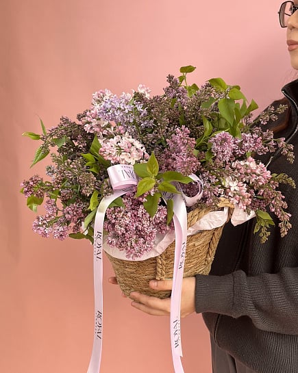Lilac in Kashpo with delivery to Almaty
