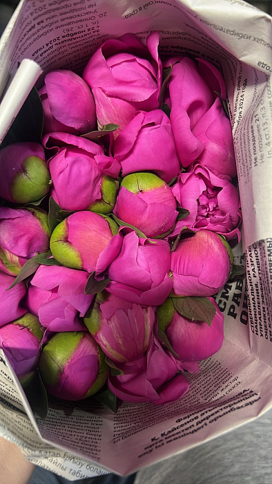 Pink peonies in a pack Pink peonies in a pack