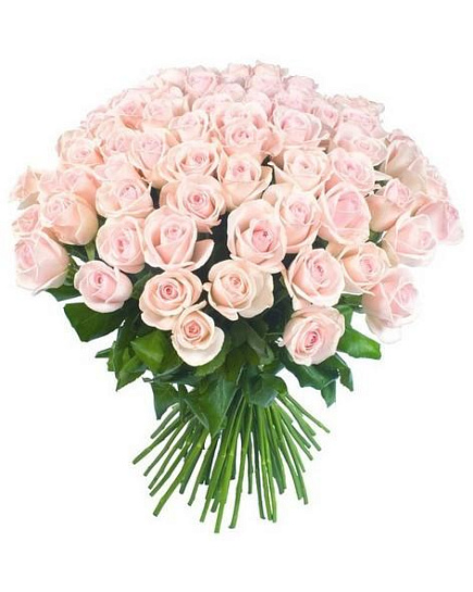 Букет 51 розовая голландская роза с доставкой по Астане