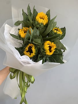 Солнечный комплимент