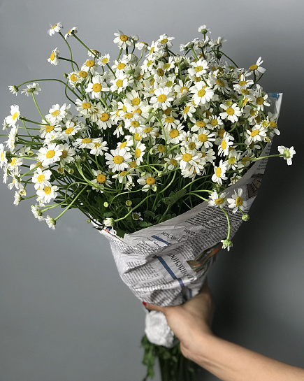 Bouquet of Pack of daisies (10pcs) flowers delivered to Astana