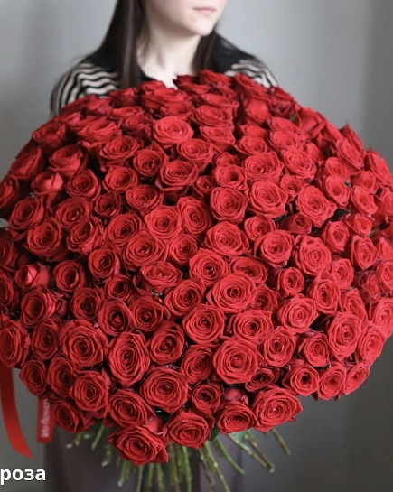 Bouquet of Bouquet of red roses (151) flowers delivered to Shymkent