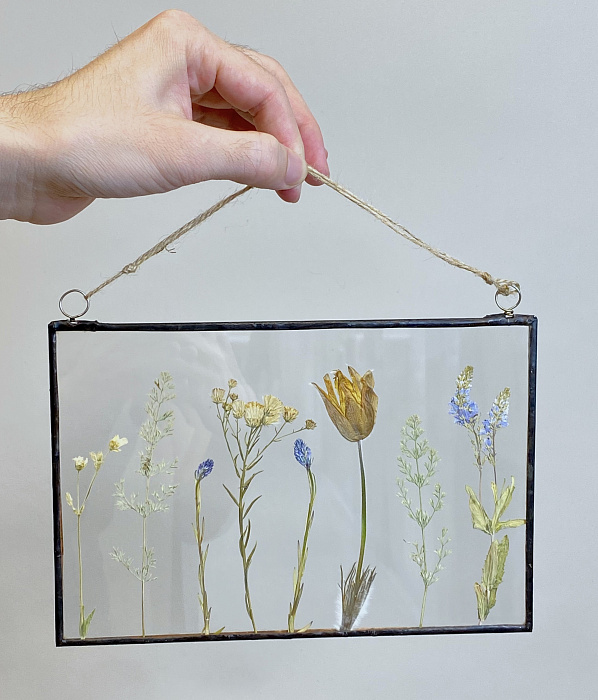 Panel of dried wild flowers Spring