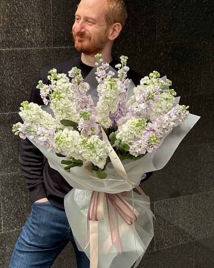 Маттиола 03 VLVT Flowers с доставкой по Алматы