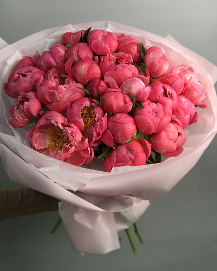 Peonies Coral Charm 25 pcs with delivery to Almaty