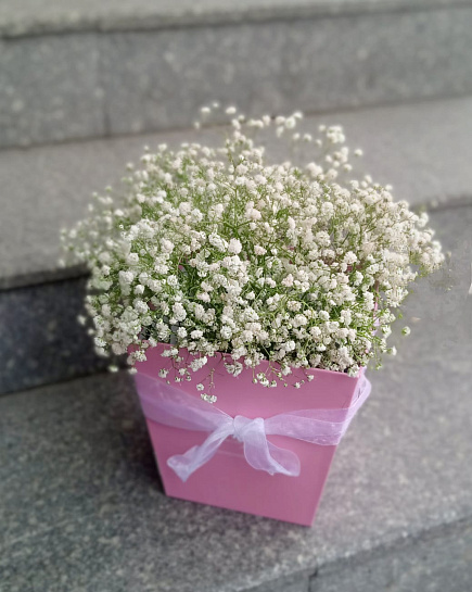 Bouquet of Gypsophila in a basket flowers delivered to Almaty
