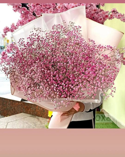 Bouquet of gypsophila flowers delivered to Taraz