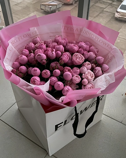 Silva XL с доставкой по Уральске