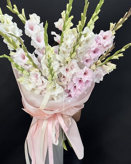 Pink loly with delivery to Almaty