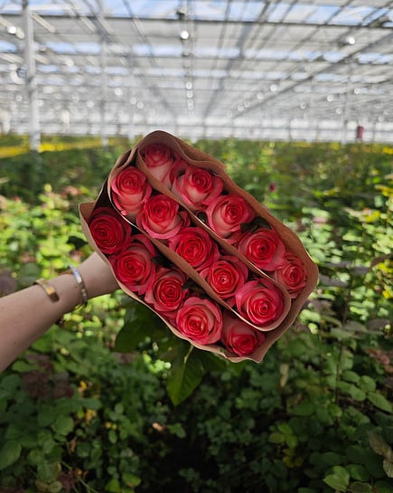 Jumilia (15 шт) с доставкой по Астане